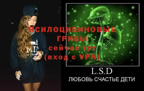 гидра Медвежьегорск