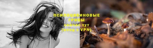 MDMA Медногорск