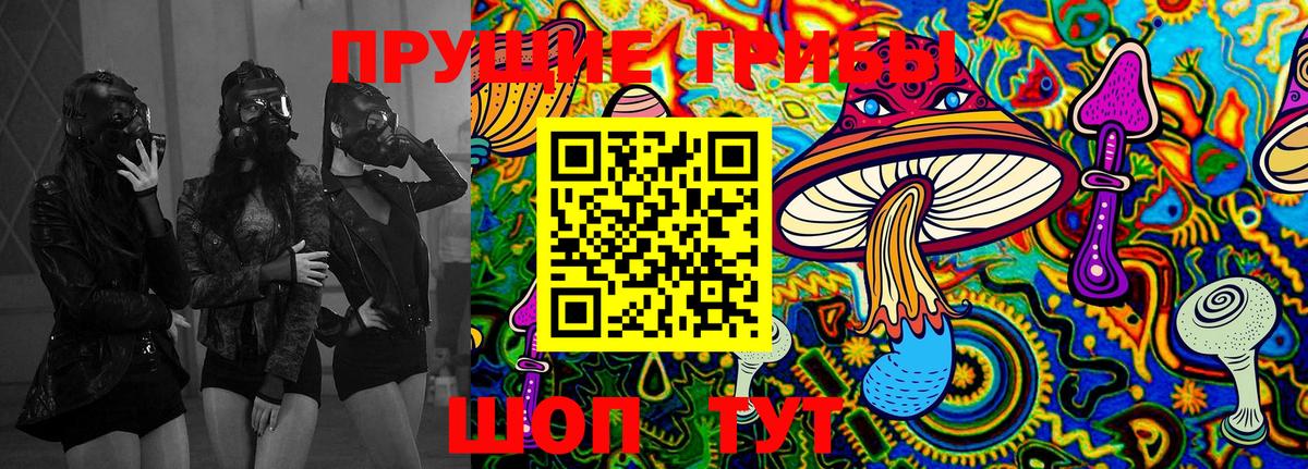 Галлюциногенные грибы Cubensis Набережные Челны