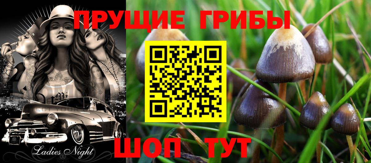 Псилоцибиновые грибы прущие грибы  Галлюциногенные грибы GOLDEN TEACHER  Набережные Челны  Вход с VPN 