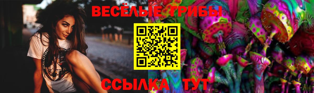 Псилоцибиновые грибы прущие грибы Набережные Челны