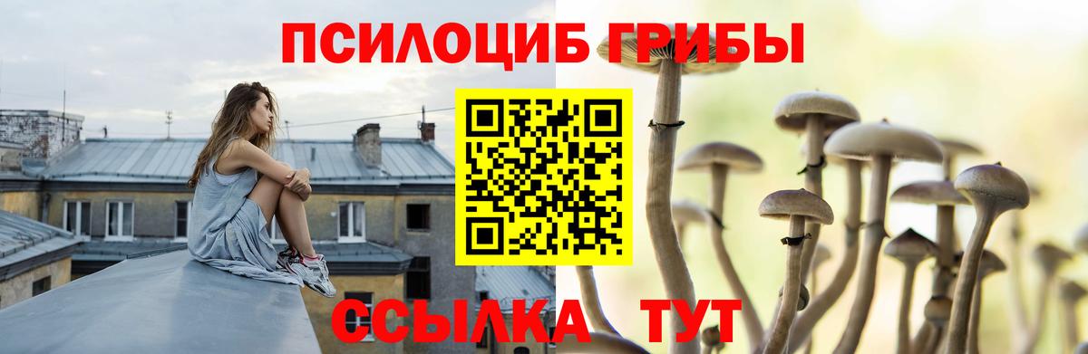 Псилоцибиновые грибы прущие грибы  Галлюциногенные грибы Cubensis  Набережные Челны 